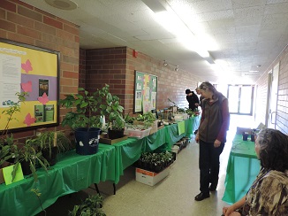 Plant sale 2015